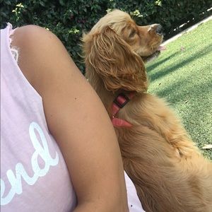 Meet your Posher, Melissa